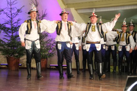 Występy konkursowe MSF