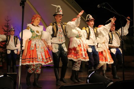 Występy konkursowe MSF