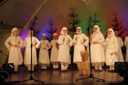 Występy konkursowe MSF