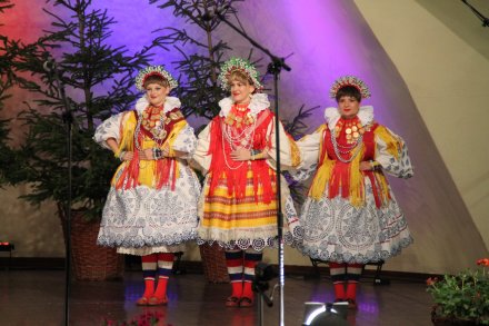 Występy konkursowe MSF