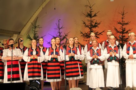 Występy konkursowe MSF