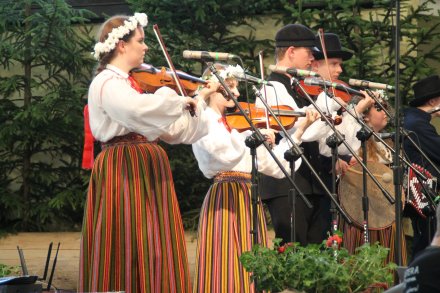 Występy konkursowe MSF