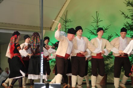 Występy konkursowe MSF