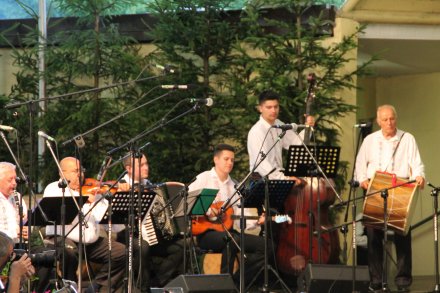 Występy konkursowe MSF