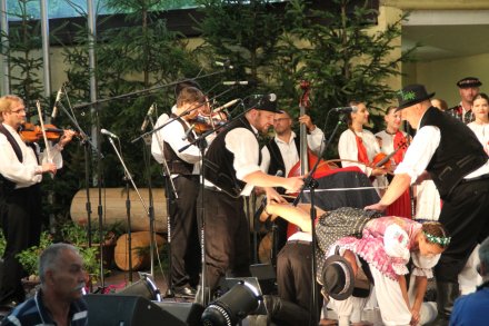 Występy konkursowe MSF