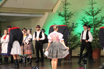 Występy konkursowe MSF