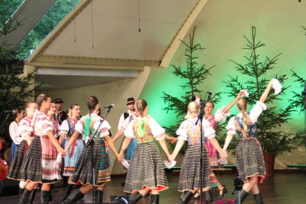 Występy konkursowe MSF