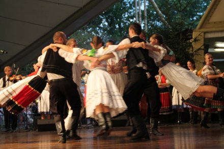 Występy konkursowe MSF