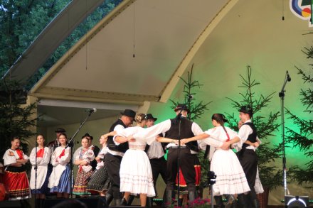 Występy konkursowe MSF