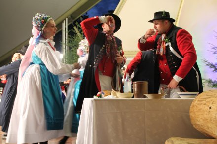 Występy konkursowe MSF