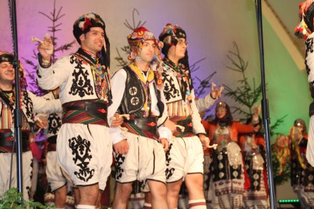 Występy konkursowe MSF