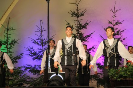 Występy konkursowe MSF