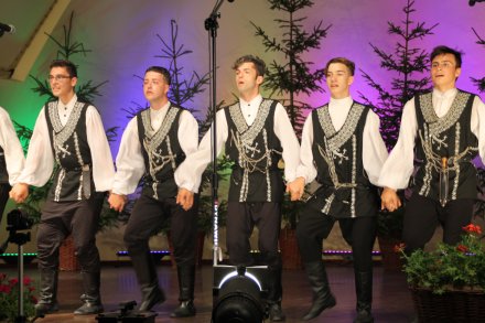 Występy konkursowe MSF