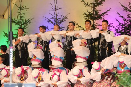 Występy konkursowe MSF