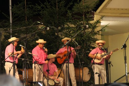 Występy konkursowe MSF