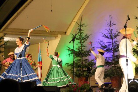 Występy konkursowe MSF