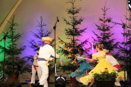 Występy konkursowe MSF