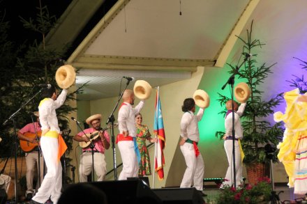 Występy konkursowe MSF