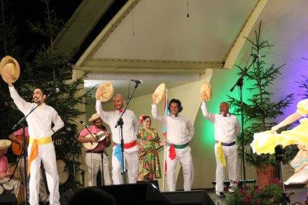 Występy konkursowe MSF