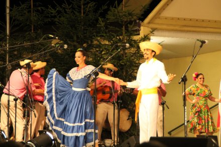 Występy konkursowe MSF