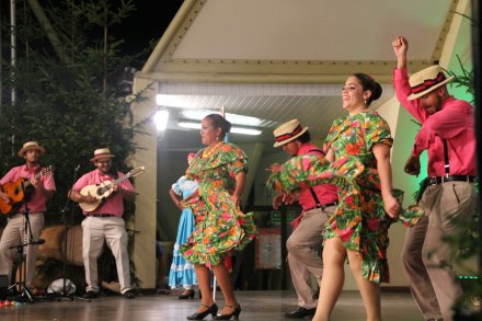 Występy konkursowe MSF