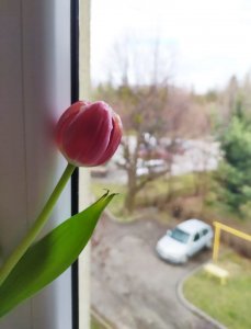 Autor: Jerzy, Ustroń