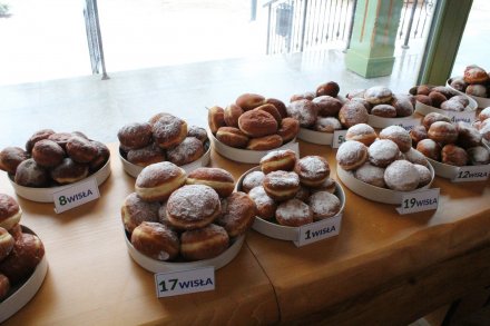 Krepliki zgłoszone do konkursu w 2020r.