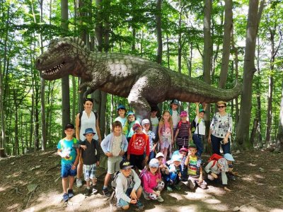 Leśny Park Niespodzianek