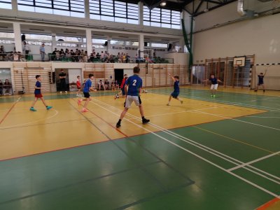 Mistrzostwa Wisły w piłce ręcznej chłopców szkół podstawowych