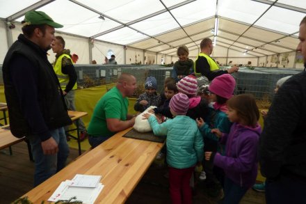 II Beskidzka Wystawa Królików, Gołębi rasowych i Drobiu ozdobnego