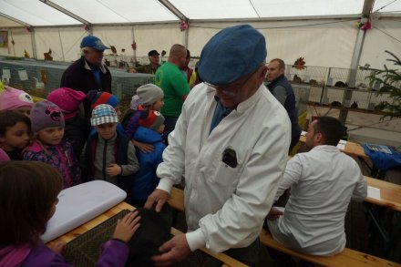 II Beskidzka Wystawa Królików, Gołębi rasowych i Drobiu ozdobnego