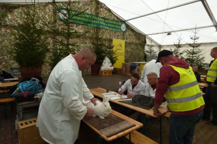 II Beskidzka Wystawa Królików, Gołębi rasowych i Drobiu ozdobnego