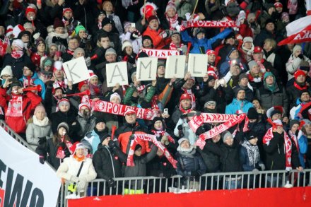 Kibice dopingują Kamila Stocha