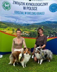 Wystawa Psów Rasowych