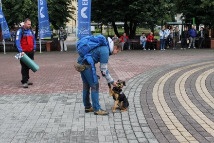 Fragment pokazu ratowników GOPR