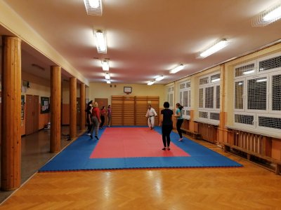 Zajęcia z samoobrony