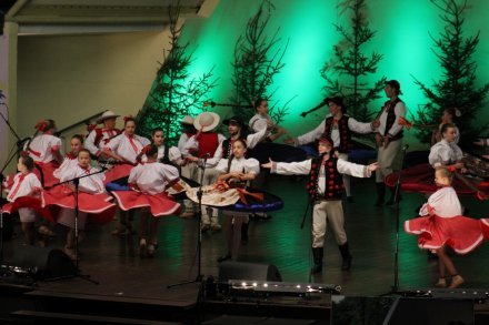 Występ zespołu Równica z Ustronia