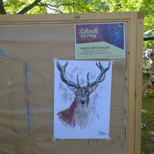 Piknik Leśny 2023