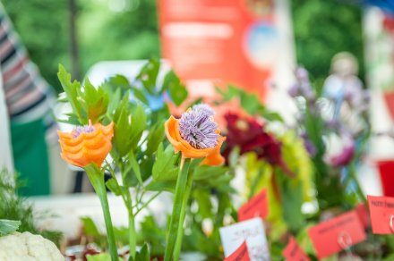 Zdrowe wyroby i potrawy