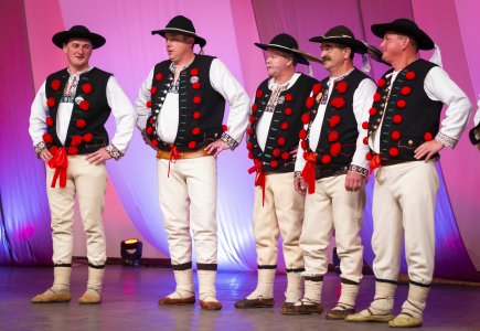 Zespół Wisła Plus z Wisły