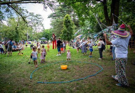 24. Piknik Leśny