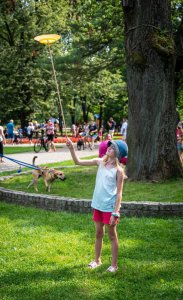 24. Piknik Leśny