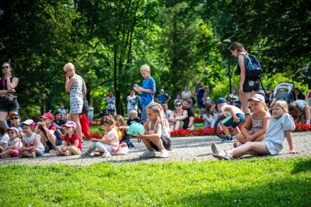 24. Piknik Leśny