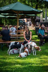 24. Piknik Leśny