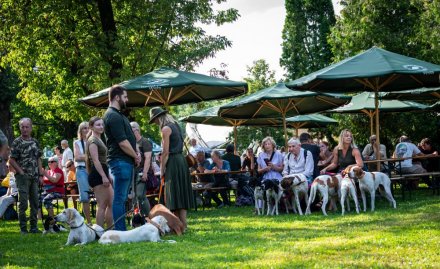 24. Piknik Leśny