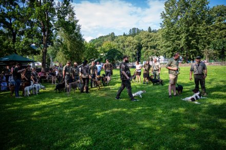 24. Piknik Leśny