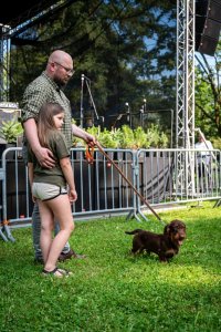 24. Piknik Leśny