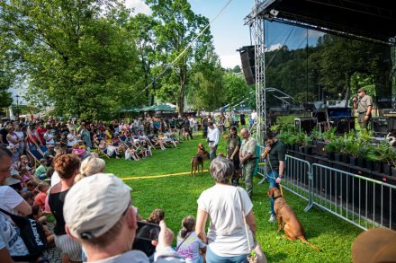 24. Piknik Leśny