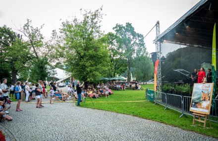 24. Piknik Leśny