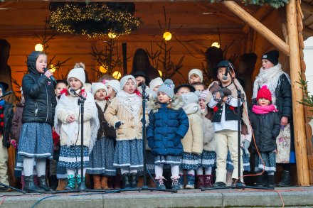Rozświetlenie choinki na Placu Hoffa
